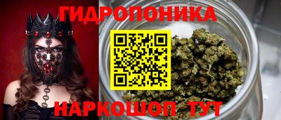 альфа пвп Севастополь