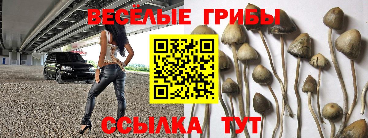 Галлюциногенные грибы мухоморы  Вход с VPN  Батайск 